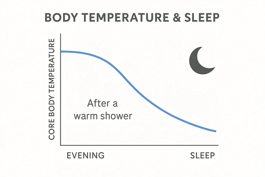 Infographic showing how body temperature changes after a shower before bed to support better sleep